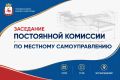 Члены постоянной комиссии Думы по местному самоуправлению оценят результаты проведения уличных и дворовых мероприятий для нижегородцев