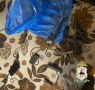 До 6 лет лишения свободы может быть назначено кстовчанину за переделку оружия