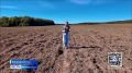 Что посеем? И что пожнем?.