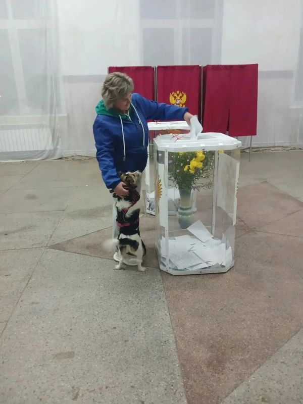 Хвостатые тоже голосуют!. Смотрите, кто приходит на избирательные участки! Оказывается, у нас не только избиратели активно приходят голосовать – но и их питомцы! – «Я за стабильность и больше прогулок!» – заявил один... Хвостатые тоже голосуют!. Смотрите, кто приходит на избирательные участки! Оказывается, у нас не только избиратели активно приходят голосовать – но и их питомцы! – «Я за стабильность и больше прогулок!» – заявил один...