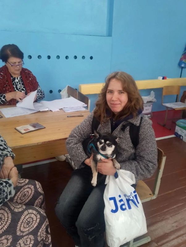 Хвостатые тоже голосуют!. Смотрите, кто приходит на избирательные участки! Оказывается, у нас не только избиратели активно приходят голосовать – но и их питомцы! – «Я за стабильность и больше прогулок!» – заявил один... Хвостатые тоже голосуют!. Смотрите, кто приходит на избирательные участки! Оказывается, у нас не только избиратели активно приходят голосовать – но и их питомцы! – «Я за стабильность и больше прогулок!» – заявил один...