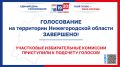 Голосование на выборах в ЕДГ 2026 на территории Нижегородской области завершилось
