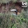 Мужчина и женщина утонули в машине, которая упала в карстовый провал в Чулково