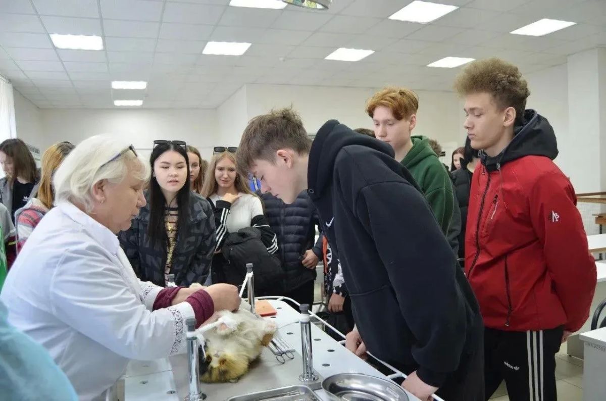 Почти 380 новых профильных классов открылись в школах Нижегородской области