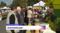 Ярмарка «Осенний дар» открылась сегодня в Нижнем Новгороде