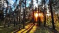 Тепло постепенно начнет покидать Нижегородский регион