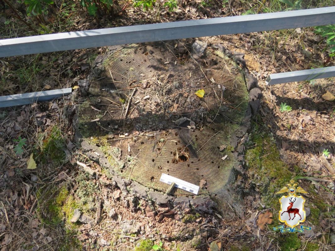 В Семёнове возбуждено уголовное дело по факту незаконной рубки леса В Семёнове возбуждено уголовное дело по факту незаконной рубки леса