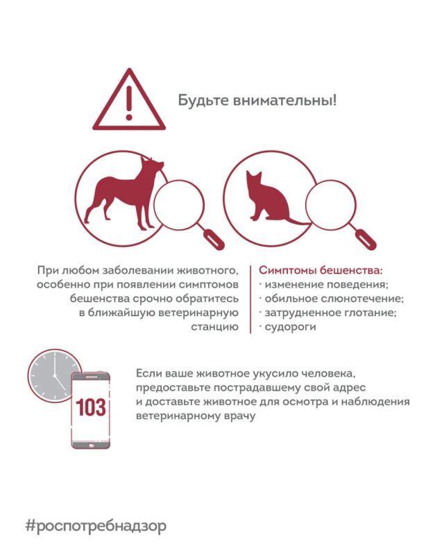 28 сентября – Всемирный день борьбы против бешенства 28 сентября – Всемирный день борьбы против бешенства