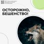 28 сентября — Всемирный день борьбы с бешенством