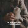 Домашние питомцы дарят нам радость и эмоциональную поддержку, но близкое общение с ними требует соблюдения простых правил гигиены