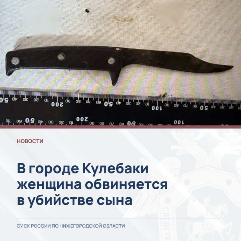 Следователем Выксунского межрайонного следственного отдела следственного управления СК России по Нижегородской области возбуждено уголовное дело в отношении женщины, обвиняемой в совершении преступления, предусмотренного ч....
