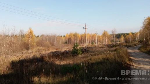 Высокая пожароопасность лесов и торфяников сохраняется в Нижегородской области