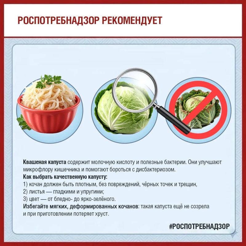 Роспотребнадзор информирует о пользе и правилах выбора капусты Роспотребнадзор информирует о пользе и правилах выбора капусты