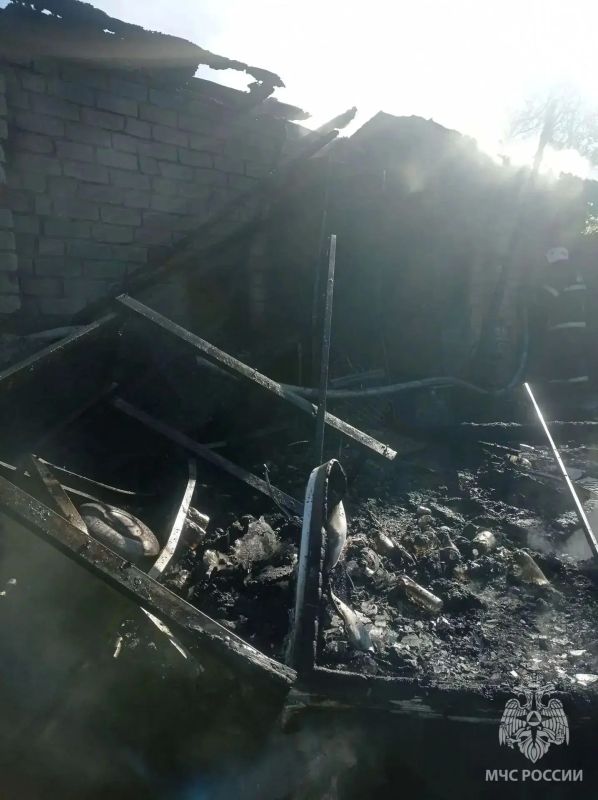 Три собаки и четыре кошки погибли при пожаре в Кстовском районе Три собаки и четыре кошки погибли при пожаре в Кстовском районе