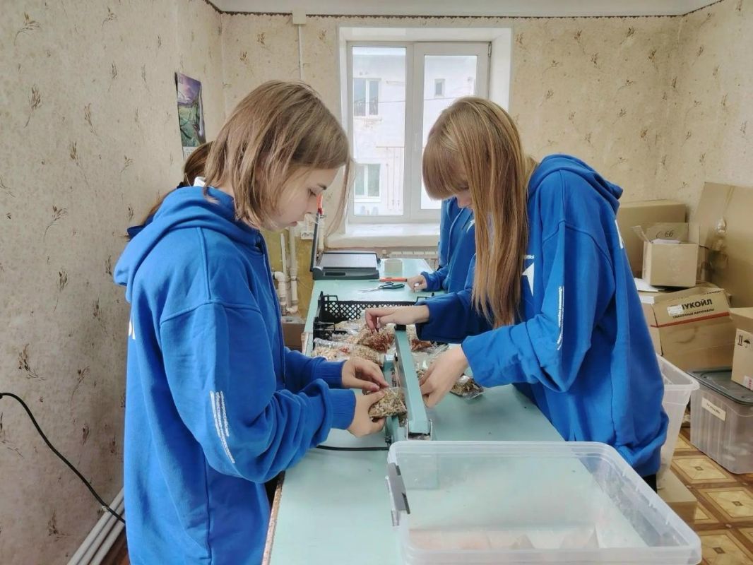 Ученики Краснобаковской школы № 1 Нижегородской области собрали дополнительную помощь для военнослужащих в зоне спецоперации Ученики Краснобаковской школы № 1 Нижегородской области собрали дополнительную помощь для военнослужащих в зоне спецоперации
