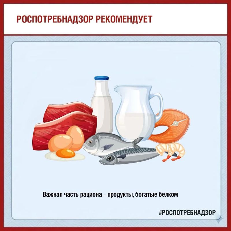 Что такое сбалансированное питание и как его организовать? Что такое сбалансированное питание и как его организовать?