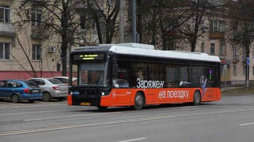 Бесплатные шаттлы организуют для болельщиков матча Россия — Нигерия