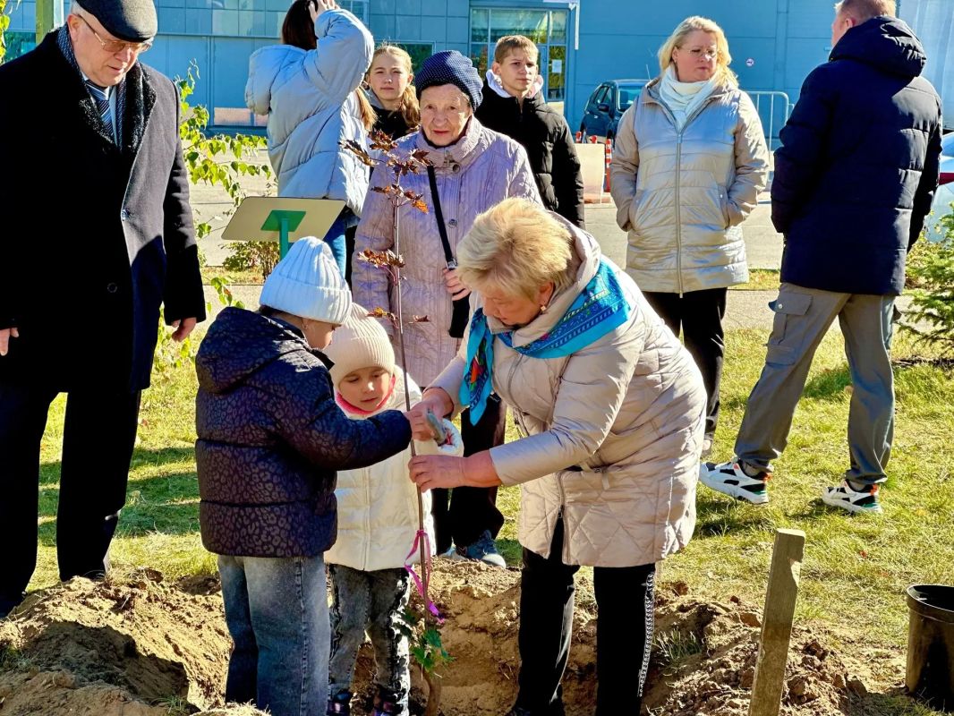 100 деревьев — на Аллее золотых юбиляров в Канавинском районе