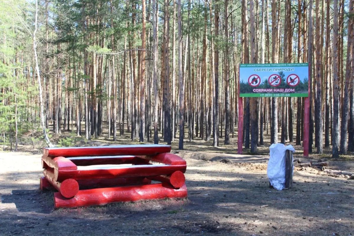 Нижегородские лесничие не допустили ни одного пожара на территории городских лесов Нижегородские лесничие не допустили ни одного пожара на территории городских лесов