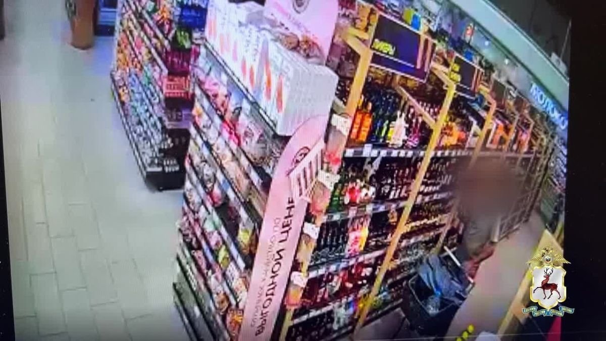 В Нижнем Новгороде участковые уполномоченные полиции раскрыли серию краж алкоголя из магазина
