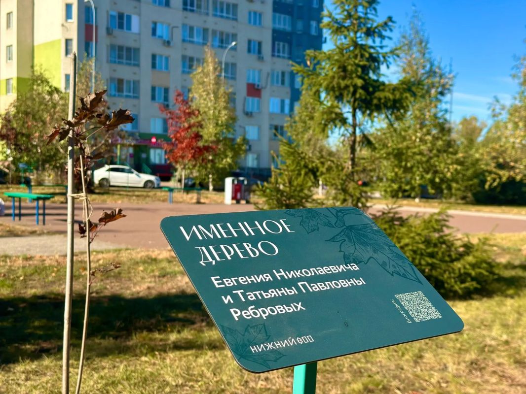 100 деревьев — на Аллее золотых юбиляров в Канавинском районе 100 деревьев — на Аллее золотых юбиляров в Канавинском районе