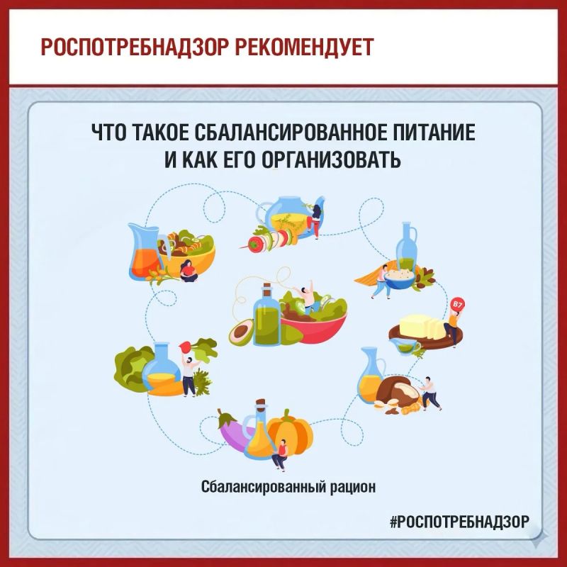 Что такое сбалансированное питание и как его организовать?