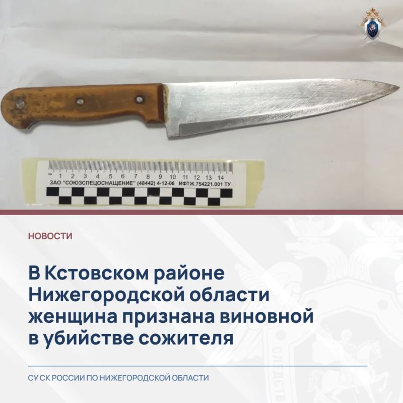 В Кстовском районе Нижегородской области женщина признана виновной в убийстве сожителя