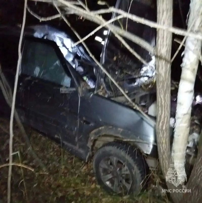 В Краснобаковском районе произошло смертельное ДТП из-за лошади