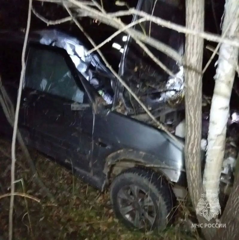 Автомобиль столкнулся с лошадью в Нижегородской области