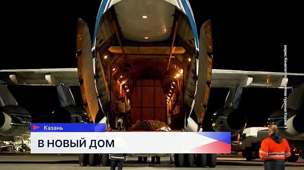 В Казанском Зооботсаду активно готовят новую площадку для обитания высоких пятнистых новосёлов!
