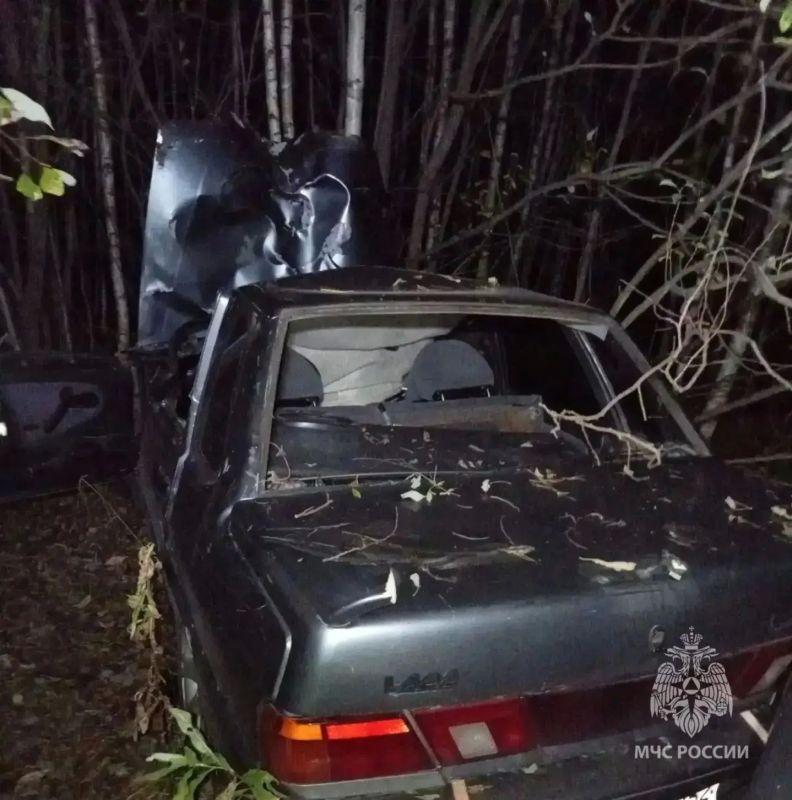 Автомобиль столкнулся с лошадью в Нижегородской области Автомобиль столкнулся с лошадью в Нижегородской области