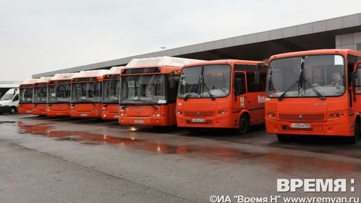 25 новых автобусов поступило в Нижегородскую область в рамках нацпроекта