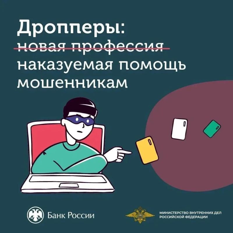 Уголовные дела в отношении 2 подозреваемых в незаконном обороте средств платежей возбуждены в Нижегородской области за неделю