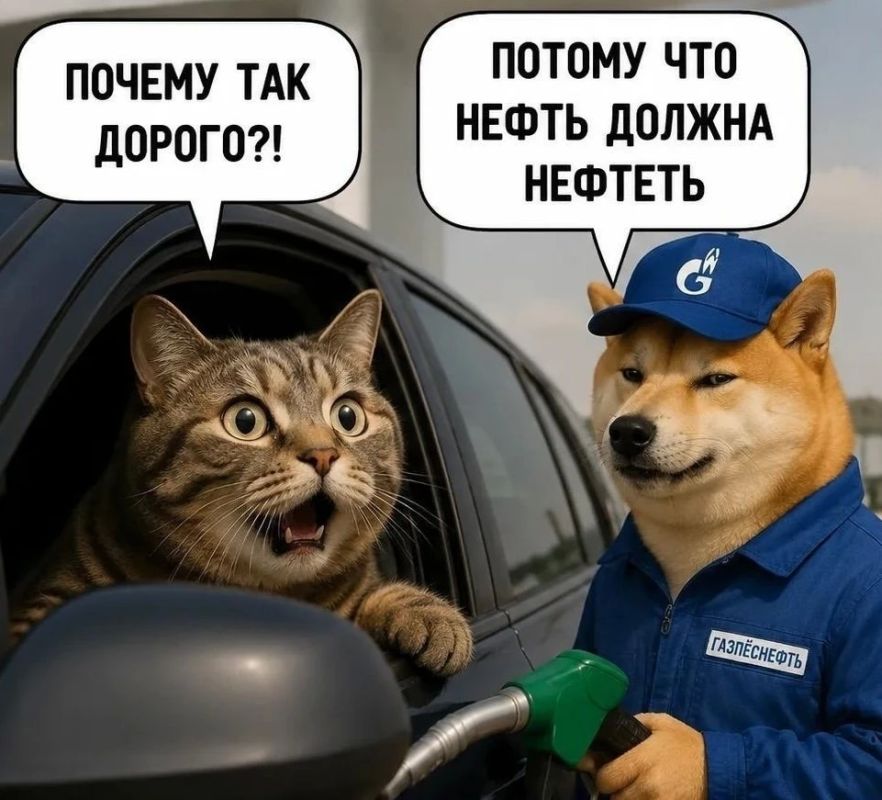 Антимонопольщики завели дело на компанию «Норси-Пирс» из-за повышения цен на бензин