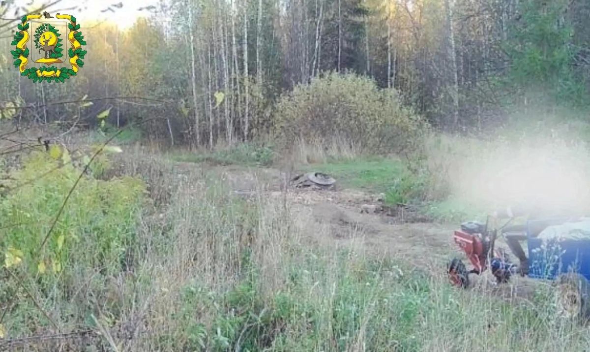 Мужчину, сбрасывающего отходы в лесу, поймали с помощью фотоловушки в Нижегородской области