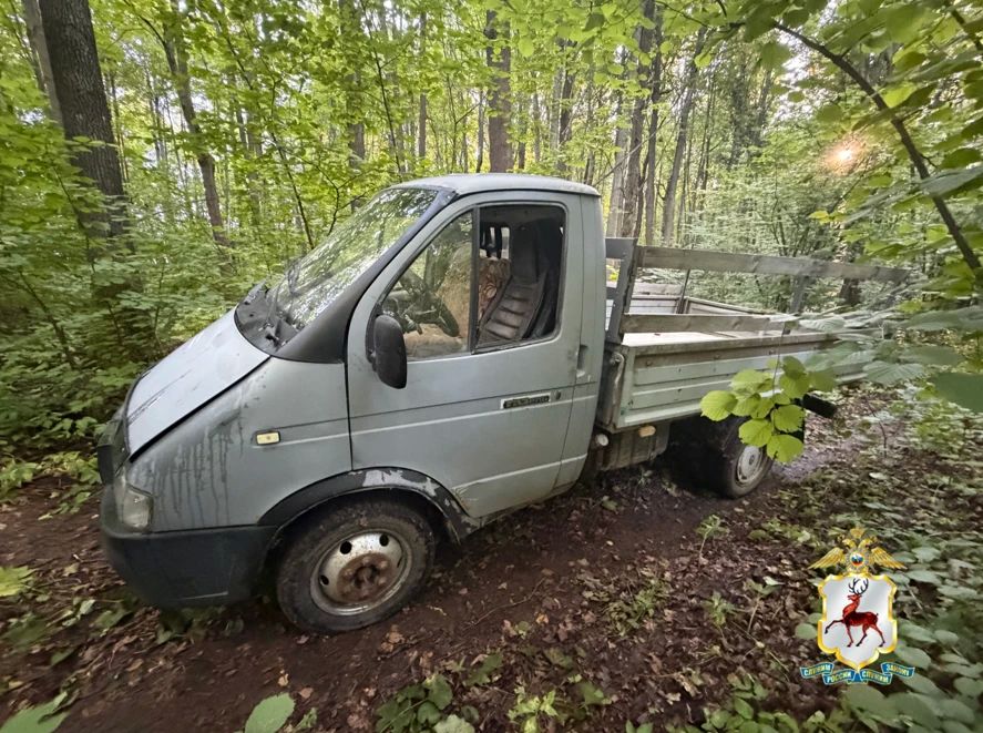 В Перевозском округе полицейские установили подозреваемого в незаконной рубке деревьев В Перевозском округе полицейские установили подозреваемого в незаконной рубке деревьев