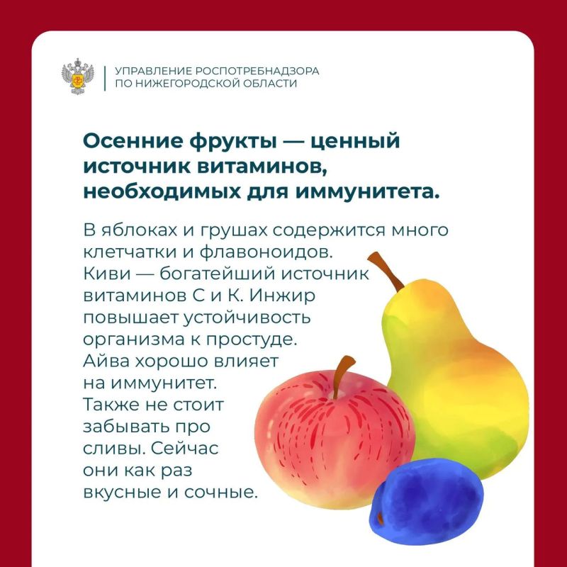 Главный принцип октября — сезонность! Главный принцип октября — сезонность!