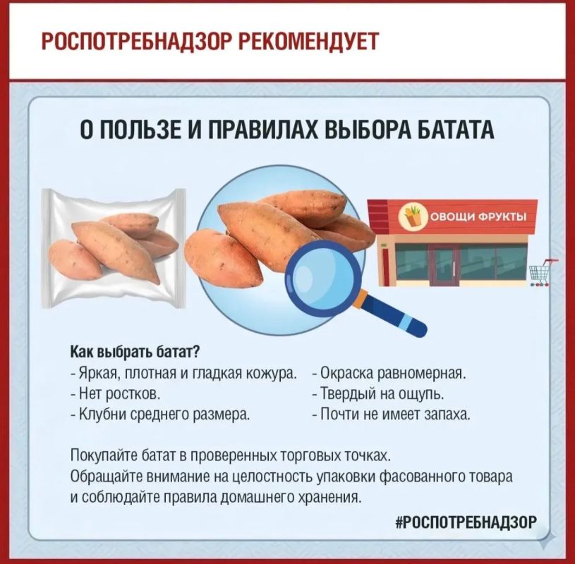 Роспотребнадзор рассказывает о пользе и правилах выбора батата Роспотребнадзор рассказывает о пользе и правилах выбора батата