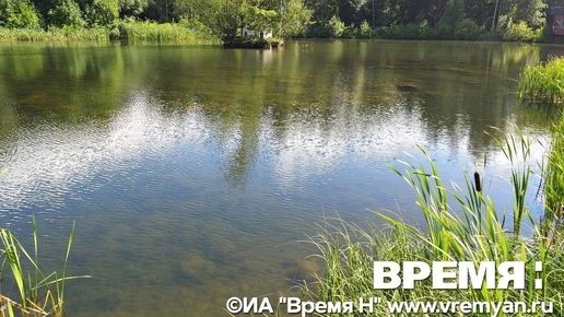 Мужчина утонул в озере Сормовское