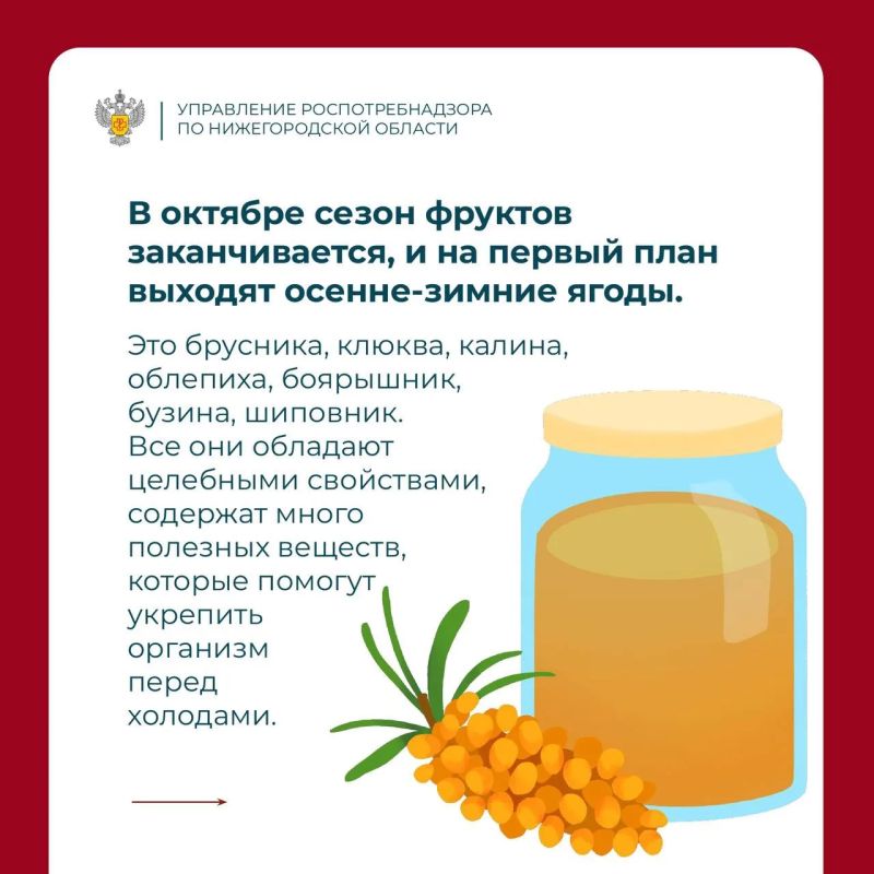 Главный принцип октября — сезонность! Главный принцип октября — сезонность!