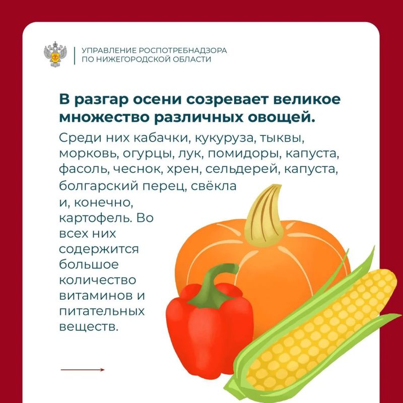Главный принцип октября — сезонность! Главный принцип октября — сезонность!