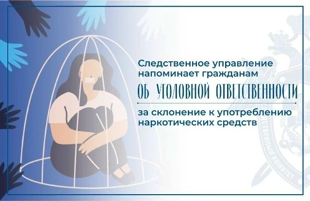Следственное управление СК России по Нижегородской области предупреждает об уголовной ответственности за склонение к употреблению наркотических средств