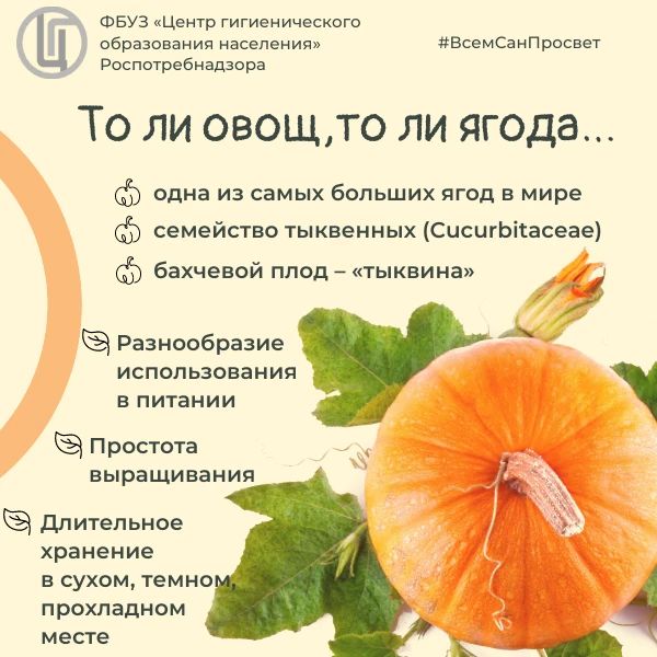 Разнообразь рацион! Выбери тыкву Разнообразь рацион! Выбери тыкву