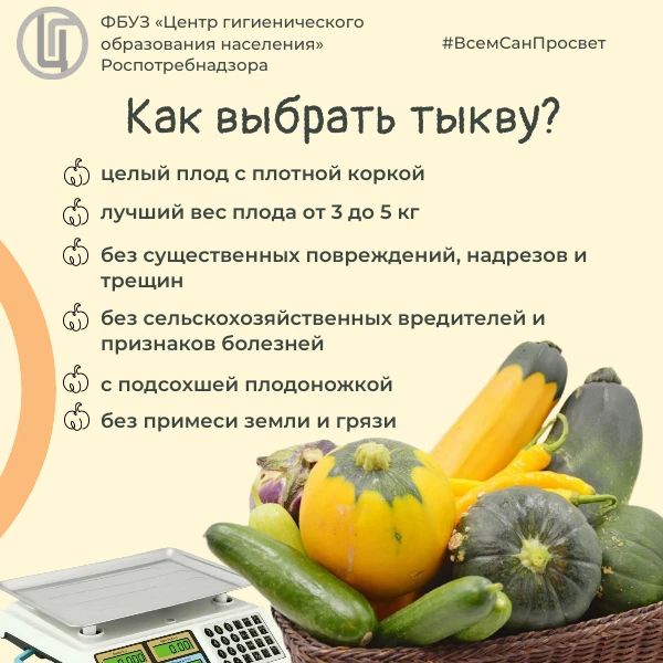 Разнообразь рацион! Выбери тыкву Разнообразь рацион! Выбери тыкву