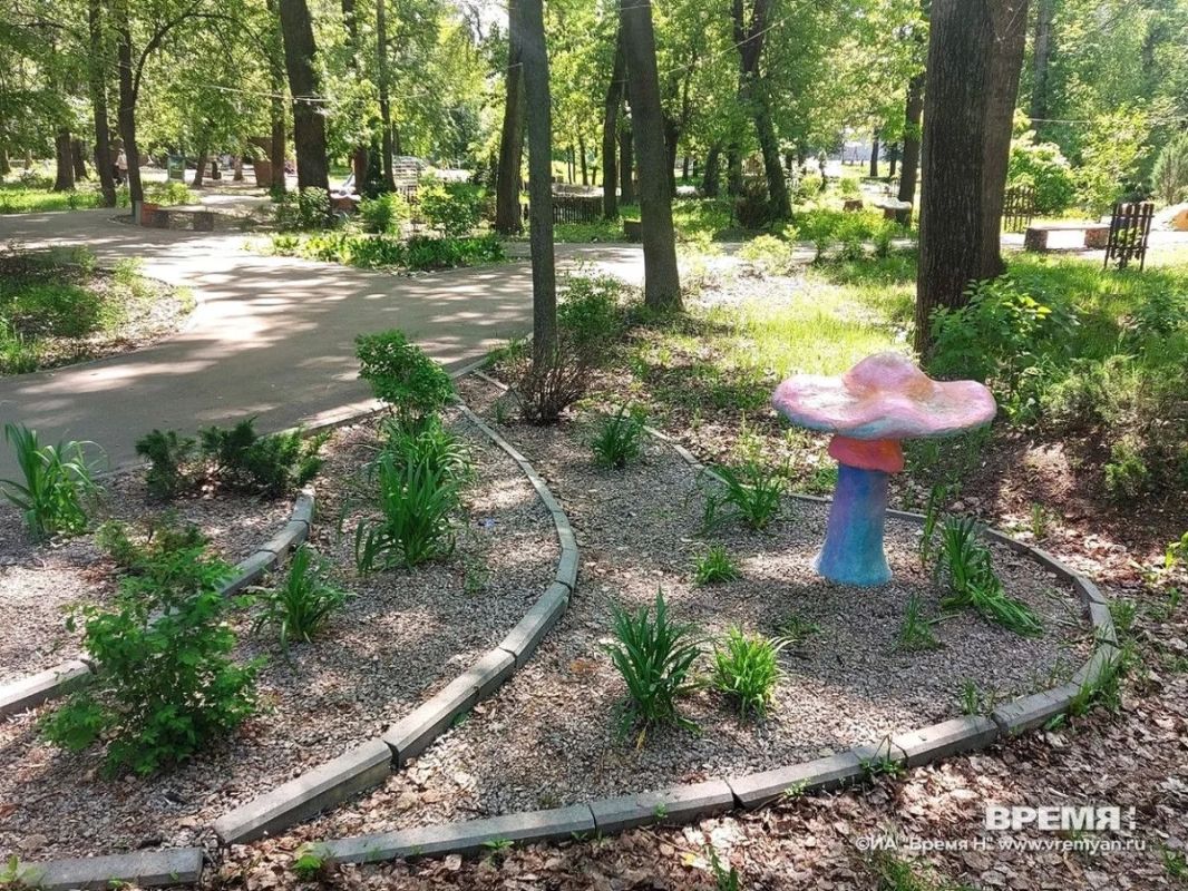 Итоги открытого городского конкурса «Цветущий Нижний» подвели в Нижнем Новгороде