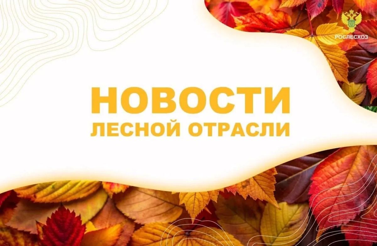 Интерфакс: Полсотни десантников-пожарных помогут тушить лесные пожары в ЕАО