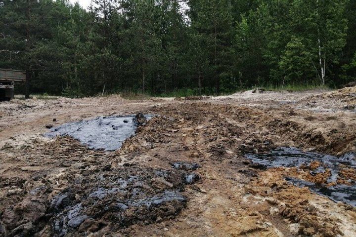 Нижнем Новгороде готовят к ликвидации опасный пруд с кислыми гудронами