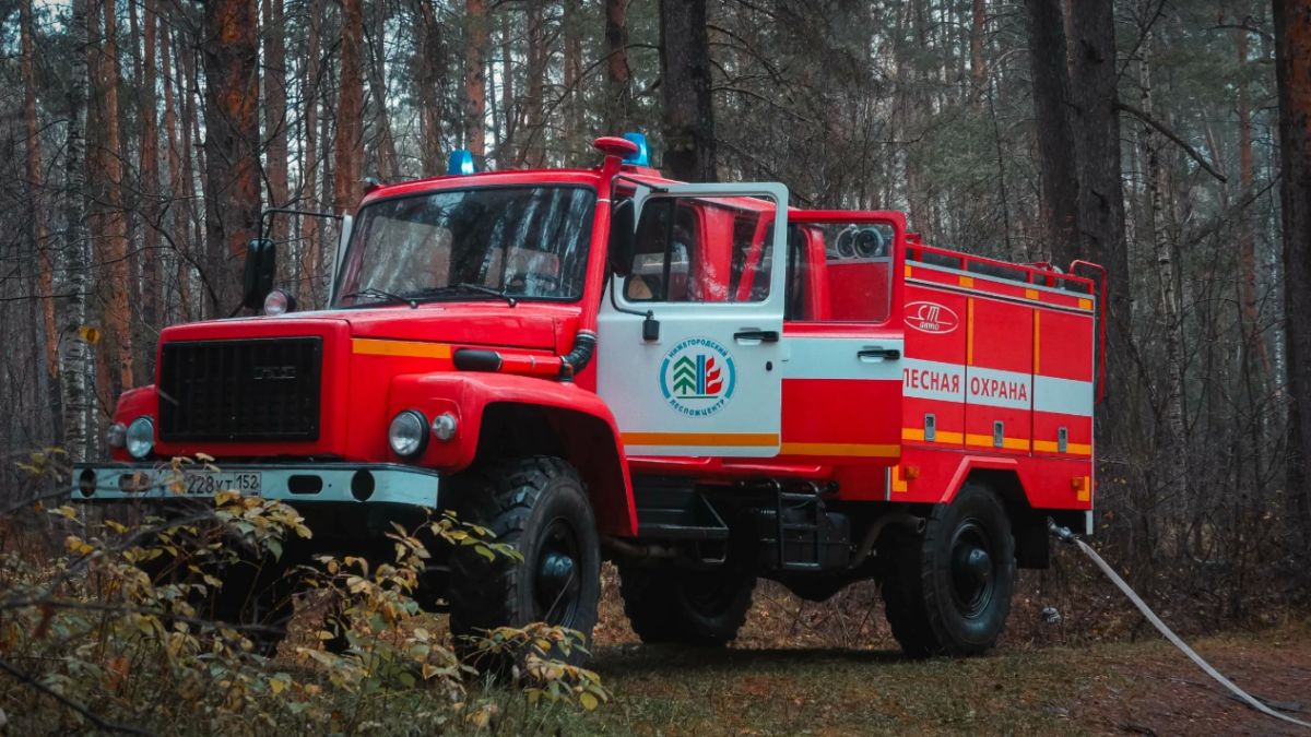 В Нижегородской области завершился пожароопасный сезон, особый противопожарный режим отменен