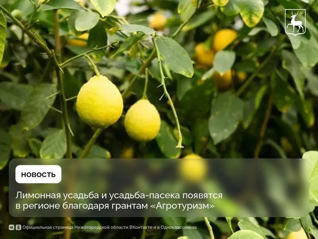 Два нижегородских фермера выиграли гранты «Агротуризм», в 2027 году каждый получит по 10 млн рублей на проекты по сельскому туризму
