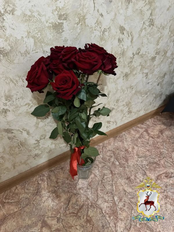 «Не джентльмен»: в Нижнем Новгороде полицейские задержали подозреваемого в грабежах цветов и мягкой игрушки «Не джентльмен»: в Нижнем Новгороде полицейские задержали подозреваемого в грабежах цветов и мягкой игрушки